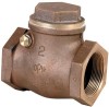 swing check valve